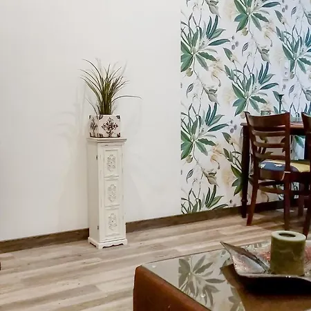 Everysky - Konstytucji 3 Maja 55 카르파츠